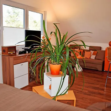 Gutshaus-Appartements mit Kamin, Sauna und Außenpool ***** Coldevitz Exterior foto