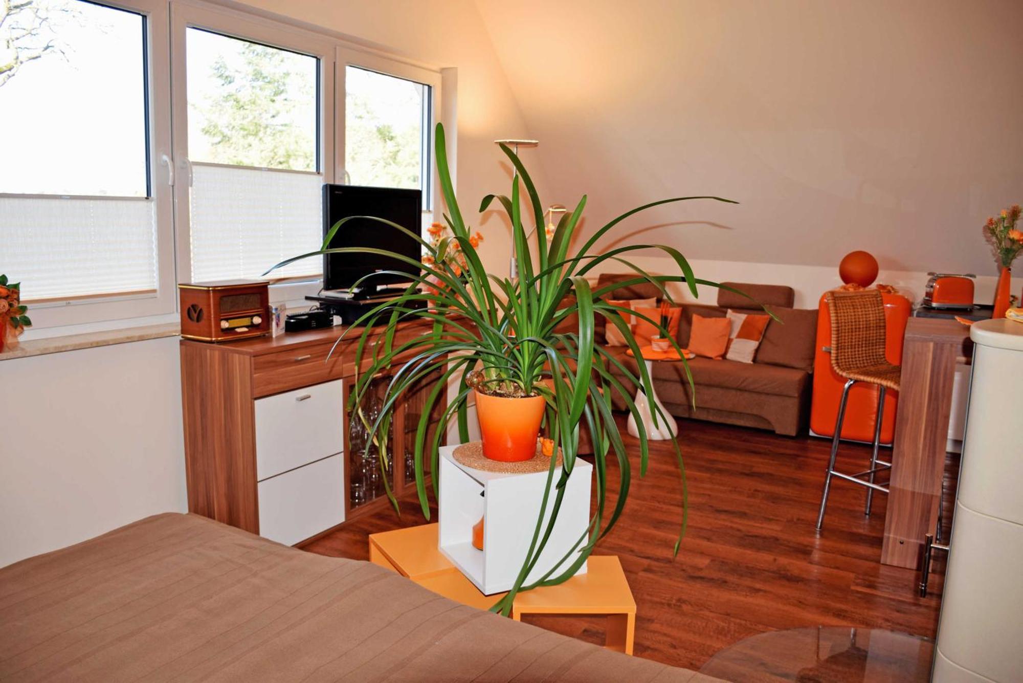 Gutshaus-appartements Mit Kamin, Sauna Und Außenpool *****